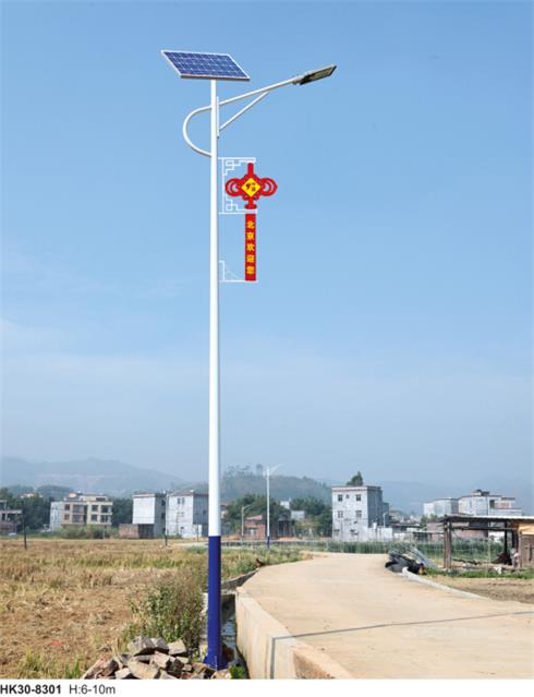 新農村太陽(yáng)能路燈