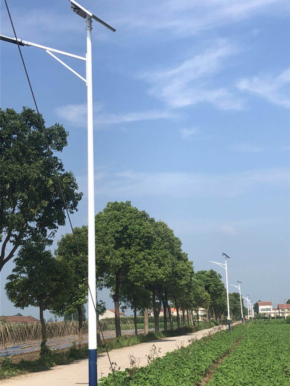 太陽(yáng)能路燈 太陽(yáng)能路燈