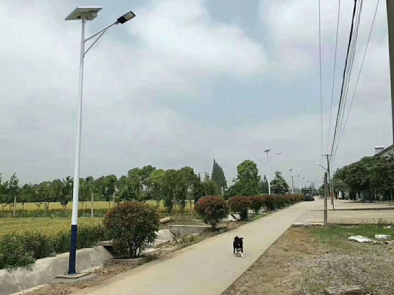 農村太陽(yáng)能路燈