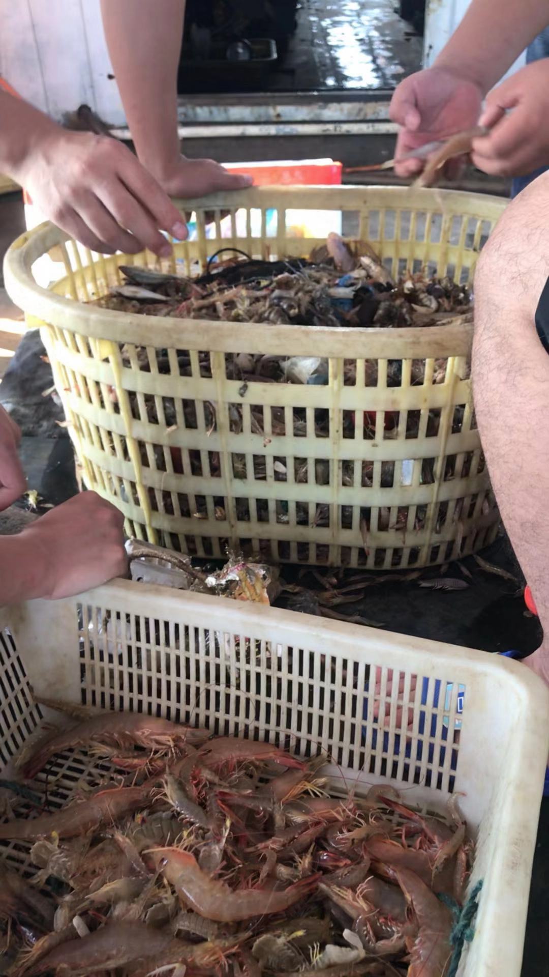 9f520c729a9d16712512bf2e3773b39.jpg 9f520c729a9d16712512bf2e3773b39.jpg