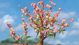 太陽(yáng)能景觀(guān)燈的8大優(yōu)點(diǎn)