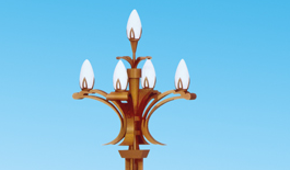 新聞：城市為何更愛(ài)玉蘭燈？